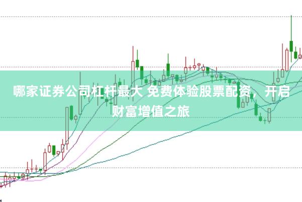 哪家证券公司杠杆最大 免费体验股票配资，开启财富增值之旅