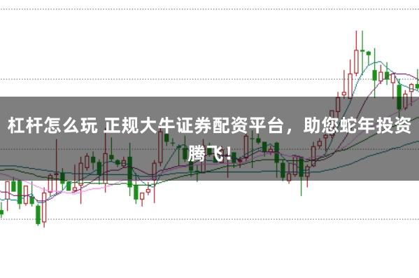 杠杆怎么玩 正规大牛证券配资平台，助您蛇年投资腾飞！