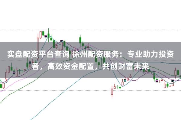 实盘配资平台查询 徐州配资服务：专业助力投资者，高效资金配置，共创财富未来