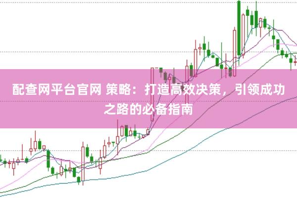 配查网平台官网 策略：打造高效决策，引领成功之路的必备指南