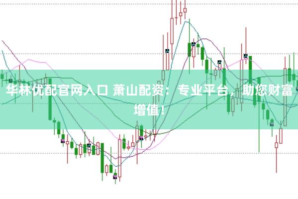 华林优配官网入口 萧山配资：专业平台，助您财富增值！