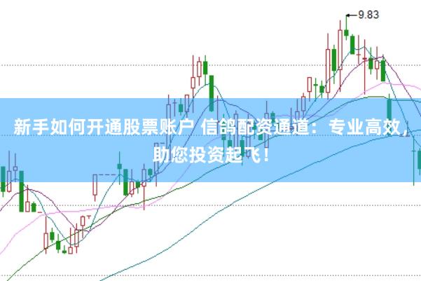 新手如何开通股票账户 信鸽配资通道：专业高效，助您投资起飞！