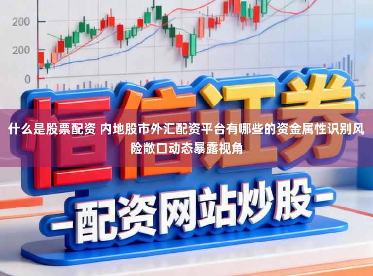 什么是股票配资 内地股市外汇配资平台有哪些的资金属性识别风险敞口动态暴露视角