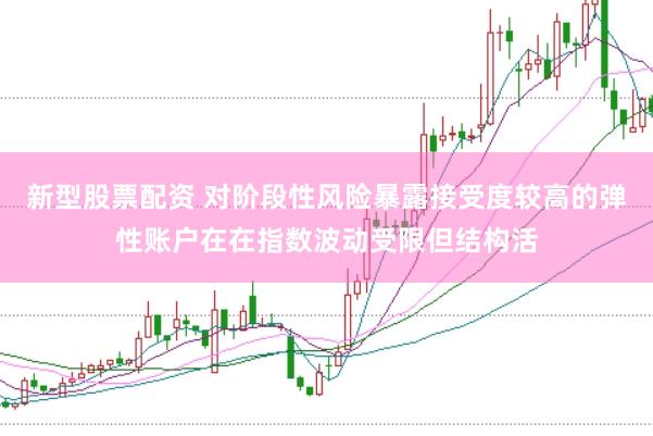新型股票配资 对阶段性风险暴露接受度较高的弹性账户在在指数波动受限但结构活